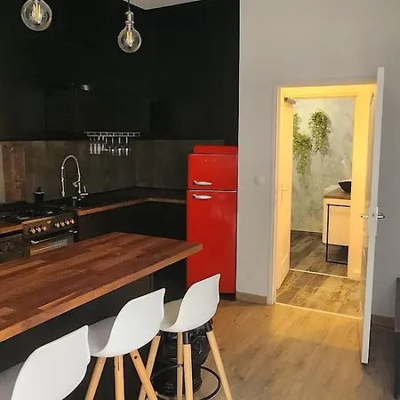 Charmant Appartement Cosy En Hyper-Centre Tours Buitenkant foto
